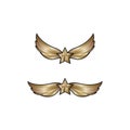 vector illustration set of wings and stars for icons, symbols or logos Royalty Free Stock Photo