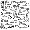 Vector illustration with set of women\'s shoes.