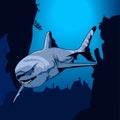 Vector illustration of shark on the depth the ocean