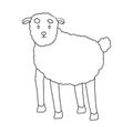 Vector design of sheep and anima sign. Set of sheep and lamb stock vector illustration.