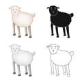 Vector design of sheep and anima sign. Collection of sheep and lamb stock symbol for web.