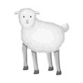 Vector design of sheep and anima symbol. Set of sheep and lamb vector icon for stock.