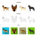 Vector illustration of sheepdog and sheltie icon. Collection of sheepdog and shepherd stock symbol for web.