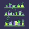 Vector illustration. Shelves with plants and vases of flowers.