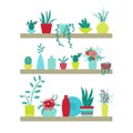 Vector illustration. Shelves with plants and vases of flowers.