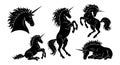 Black unicorn silhouettes set magical fantasy horse mythical creature vector illustration collection Royalty Free Stock Photo
