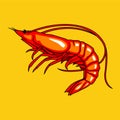 Vector illustration Shrimp