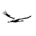 The vector illustration silhouette of flying crane , bird in white background