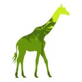 Vector illustration silhouette giraffe with african savannah and colorful sky.. Isolated white background. Icon giraffe Royalty Free Stock Photo