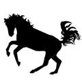 vector illustration of the silhouette of a horse jumping in black. Isolated on a white background. Royalty Free Stock Photo