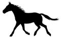 Vector illustration silhouette of a running horse