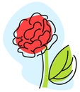 Vector illustration of a simple rose. Contour and offset color