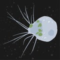 Vector illustration of single-celled eukaryote Cercozoa, Protozoa