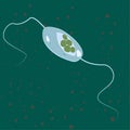 Vector illustration of single-celled eukaryote Acritarcha, ProtozoaVector illustration of single-celled eukaryote Euglenozoa, Prot