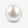 Vector illustration of single 3D shiny natural white sea pearl with light effects isolated on transparent background Royalty Free Stock Photo