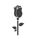 Vector illustration of single rose