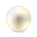 Vector illustration of single shiny natural white sea pearl with light effects isolated on white background Royalty Free Stock Photo