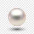 Vector illustration of single shiny natural white sea pearl with light effects isolated on transparent background. Royalty Free Stock Photo