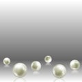 Vector illustration of single shiny natural white sea pearls with light effects isolated on transparent background