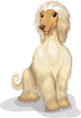 Vector illustration sitting hound purebred dog