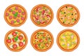 Six types of pizza on a white background