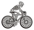 Vector illustration of a skeleton on the bicycle