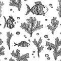 Vector illustration with sketch algae and fishes on white background. Marine seamless pattern with seaweeds, fishes and bubbles.