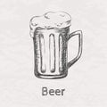 Vector illustration of sketch of beer mug