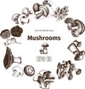 Vector illustration sketch - mushrooms
