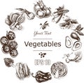 Vector illustration sketch of vegetables. Tomato, Peas, broccoli, asparagus, artichoke, cabbage, eggplant, avocado, arugula, basil