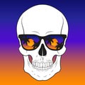 Vector illustration of skull in sunglasses. Isolated