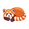 Vector illustration of a sleeping red panda curled up in a ball, isolated on a white background. Royalty Free Stock Photo