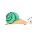 Vector illustration of a sleeping snail with a turquoise-green shell in a cartoon style. The snail is resting, the funny slug in
