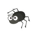 Small cute black bug Royalty Free Stock Photo