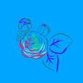 Vector image of smooth rose on blue