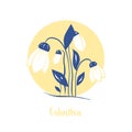 Vector illustration of snowdrop flower Galanthus sp.. Vector illustration. Royalty Free Stock Photo