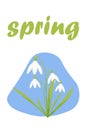 Vector illustration of snowdrops and the lettering Spring. first spring flowers