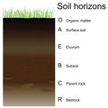 Vector illustration of soil horizons (layers)