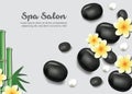 Vector advertising banner for the spa salon Royalty Free Stock Photo