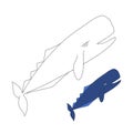 Vector illustration of sperm whale for coloring book