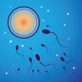 Vector illustration of spermatozoon and egg cell Royalty Free Stock Photo