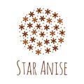 Illustration. Spice. Star anise Badian. Round pattern