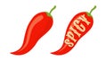 Vector illustration of a spicy chili peppers with text of spicy Royalty Free Stock Photo