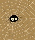 Vector illustration of a spider walking on its web