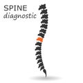 Vector illustration spine diagnostic symbol. Diagnostic center