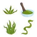 Vector illustration of spirulina and seaweed icon. Set of spirulina and vegan stock vector illustration. Royalty Free Stock Photo