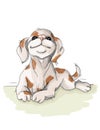 Vector illustration spotted dog resting,sommer vacation nice