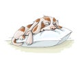 Vector illustration spotted dog resting,sommer vacation nice