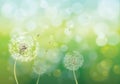 Vector illustration of spring background Royalty Free Stock Photo