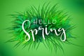 Vector illustration of spring banner template with hand lettering phrase - hello spring - on a background of grass and Royalty Free Stock Photo